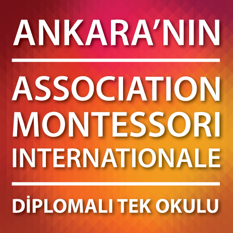 Montessori Okulu Ankara